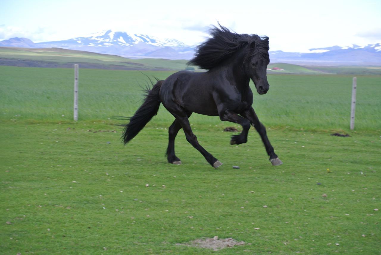 Hekla Adventures Villa Hvolsvöllur Екстериор снимка