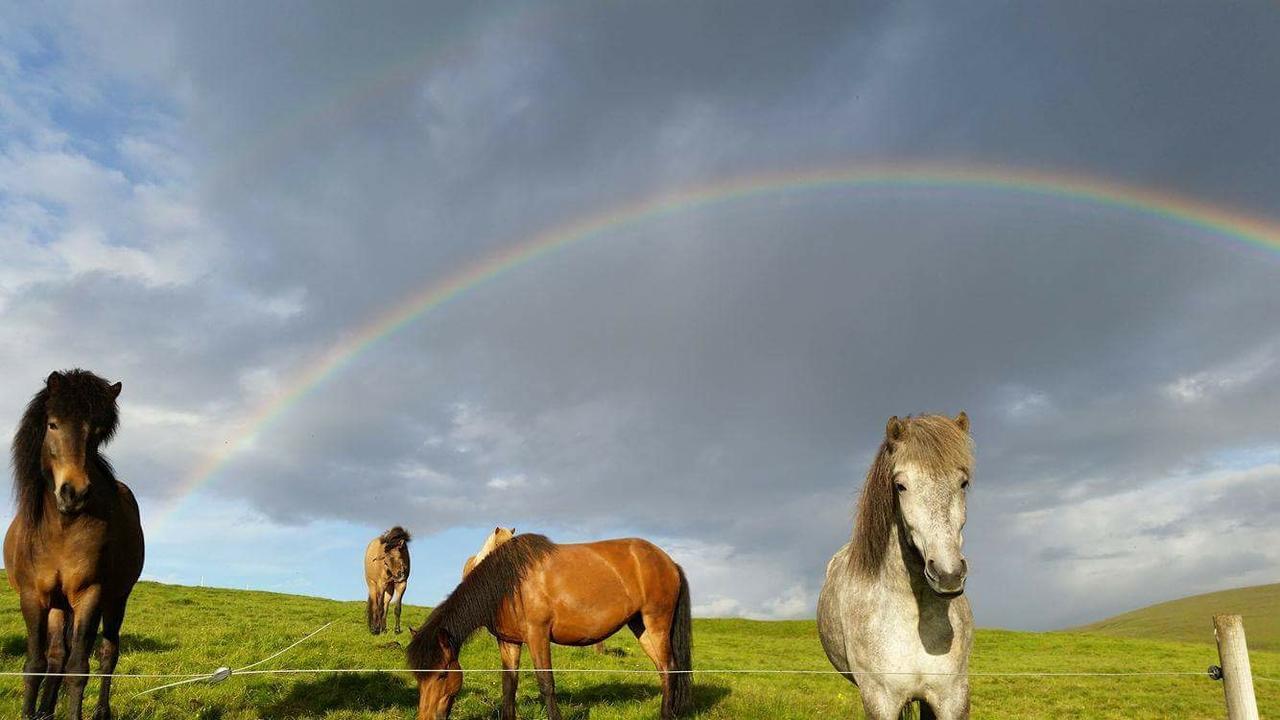 Hekla Adventures Villa Hvolsvöllur Екстериор снимка